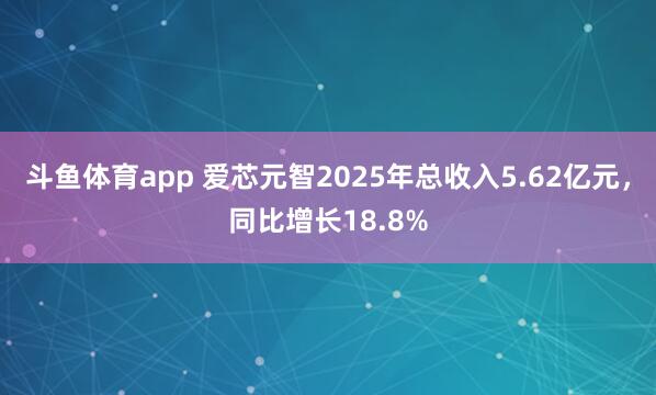 斗鱼体育app 爱芯元智2025年总收入5.62亿元，同比增长18.8%