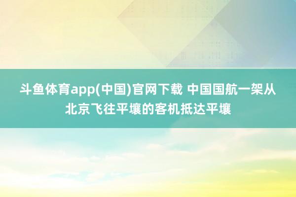 斗鱼体育app(中国)官网下载 中国国航一架从北京飞往平壤的客机抵达平壤