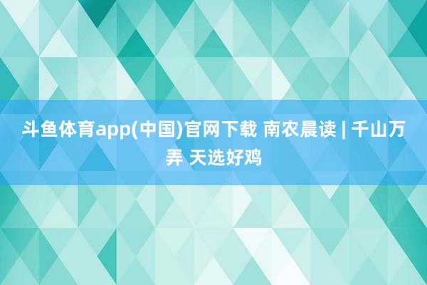 斗鱼体育app(中国)官网下载 南农晨读 | 千山万弄 天选好鸡
