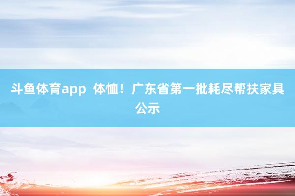 斗鱼体育app  体恤！广东省第一批耗尽帮扶家具公示