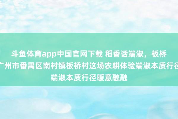斗鱼体育app中国官网下载 稻香话端淑，板桥绘新景！广州市番禺区南村镇板桥村这场农耕体验端淑本质行径暖意融融