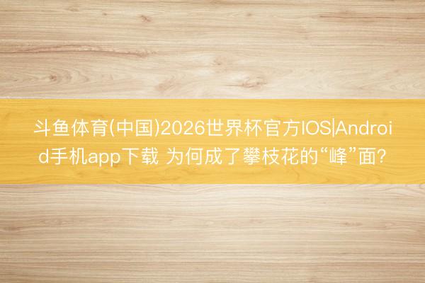斗鱼体育(中国)2026世界杯官方IOS|Android手机app下载 为何成了攀枝花的“峰”面？