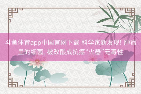 斗鱼体育app中国官网下载 科学家新发现! 肿瘤里的细菌， 被改酿成抗癌“火器”无毒性