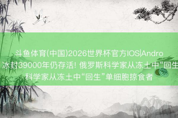 斗鱼体育(中国)2026世界杯官方IOS|Android手机app下载 冰封39000年仍存活! 俄罗斯科学家从冻土中“回生”单细胞掠食者