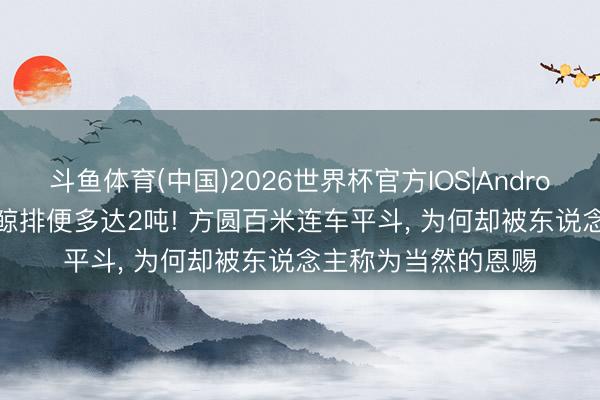 斗鱼体育(中国)2026世界杯官方IOS|Android手机app下载 蓝鲸排便多达2吨! 方圆百米连车平斗， 为何却被东说念主称为当然的恩赐