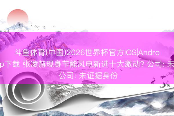 斗鱼体育(中国)2026世界杯官方IOS|Android手机app下载 张凌赫现身节能风电新进十大激动? 公司: 未证据身份