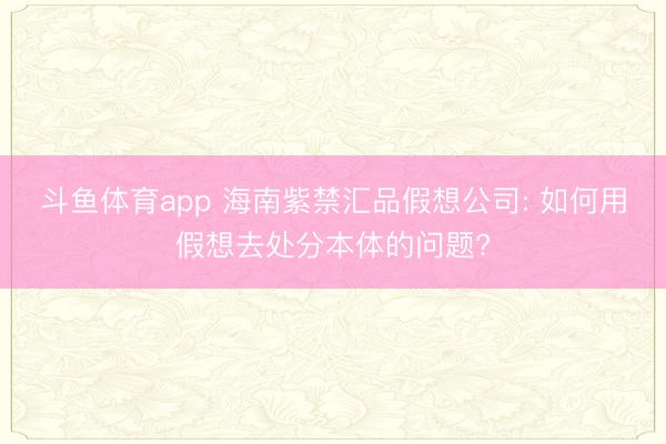 斗鱼体育app 海南紫禁汇品假想公司: 如何用假想去处分本体的问题?