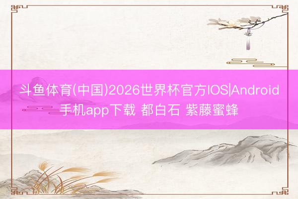 斗鱼体育(中国)2026世界杯官方IOS|Android手机app下载 都白石 紫藤蜜蜂