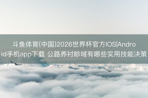斗鱼体育(中国)2026世界杯官方IOS|Android手机app下载 公路养衬畛域有哪些实用技能决策