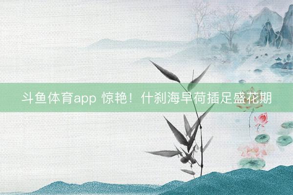 斗鱼体育app 惊艳！什刹海早荷插足盛花期